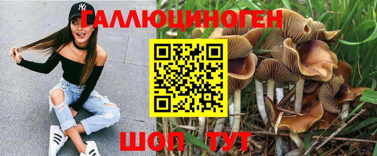 Галлюциногенные грибы GOLDEN TEACHER  наркотики  Ипатово  Вход с VPN 